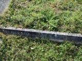 image of grave number 938258